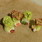 Lettuce with ladybug
