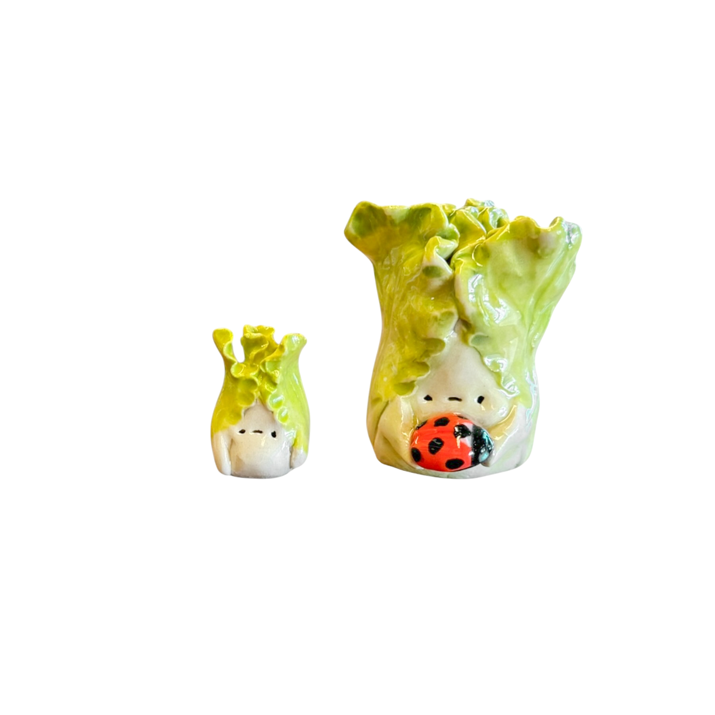 Mini Lettuce