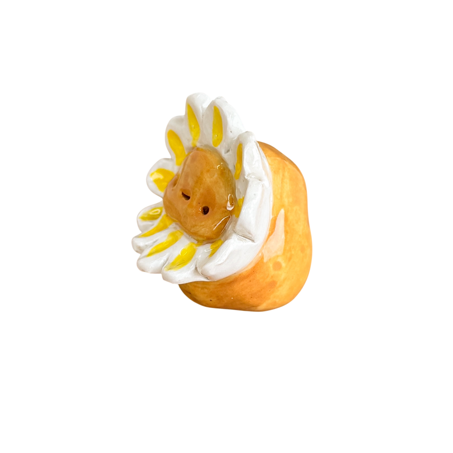 Potato with Flower Hat