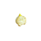 Plain Onion