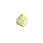 Plain Onion