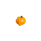 Plain Orange