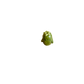 Mini Zucchini