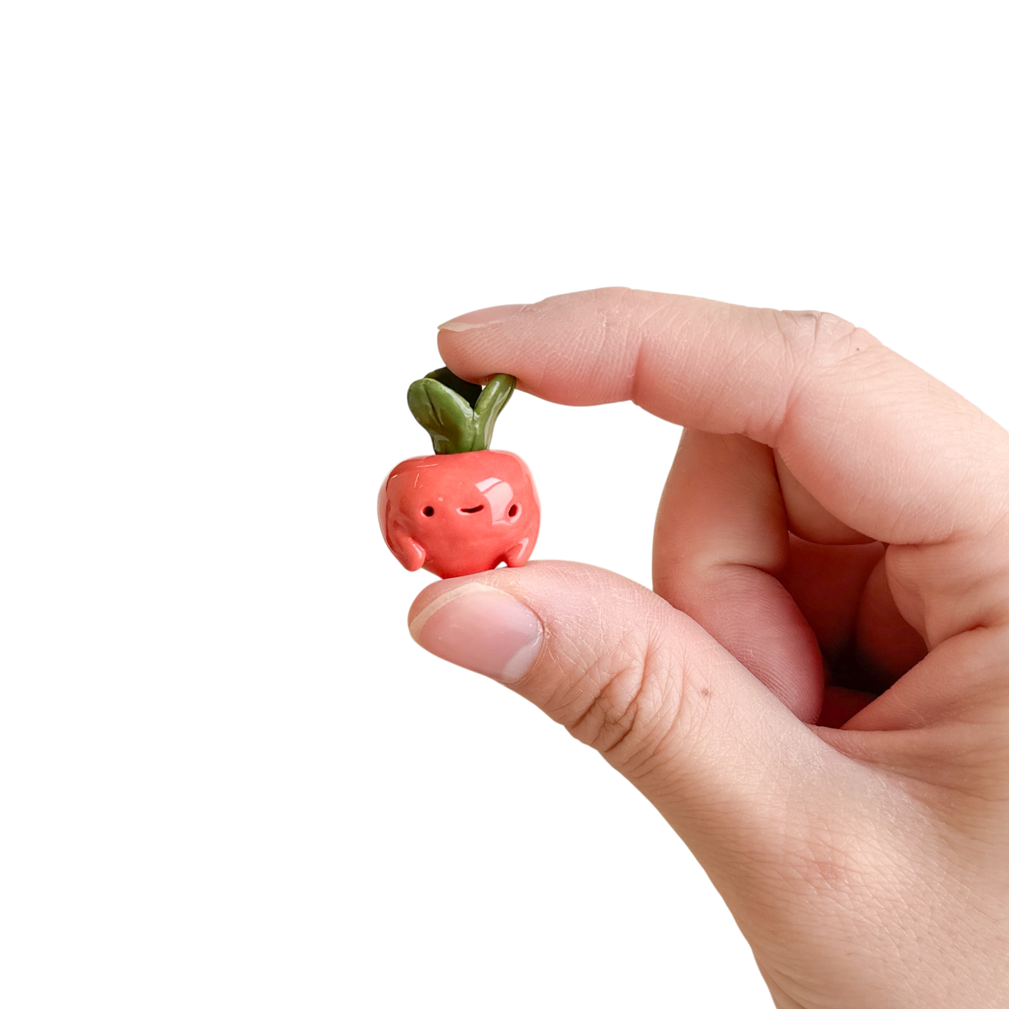 Mini Radish