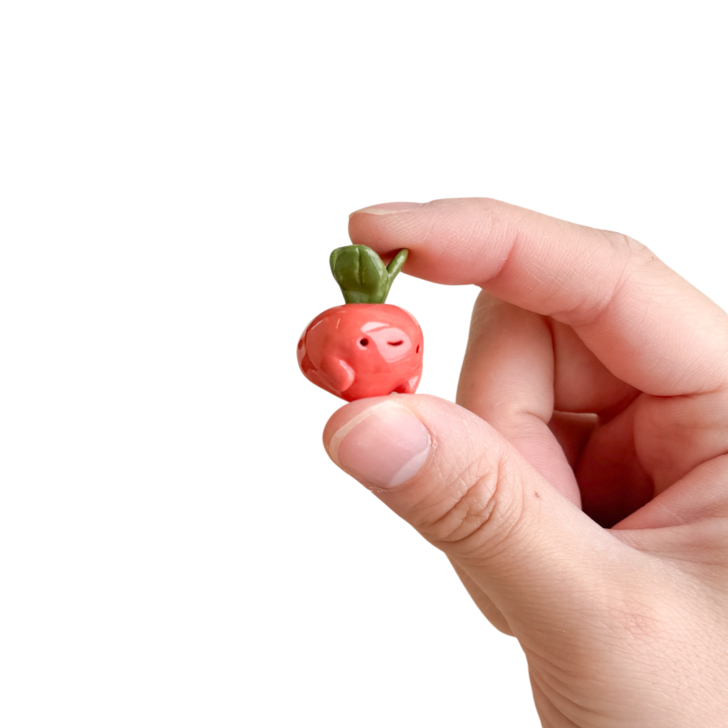 Mini Radish
