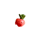 Mini Radish