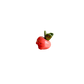Mini Radish