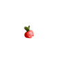 Mini Radish