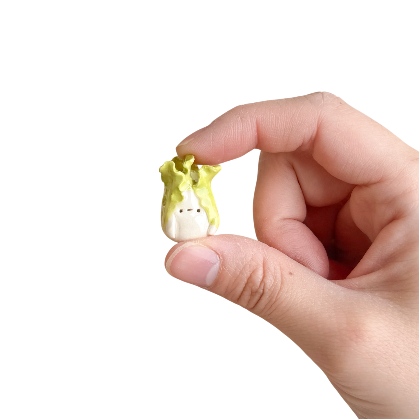 Mini Lettuce