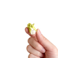 Mini Lettuce