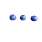 Mini Blueberry