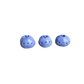 Mini Blueberry