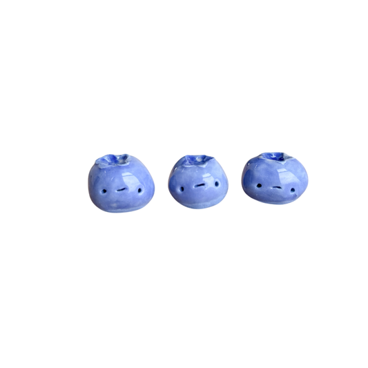 Mini Blueberry