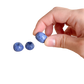 Mini Blueberry