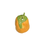Potato with Frog Hat
