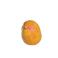 Potato with Bows