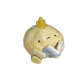 Onion with book