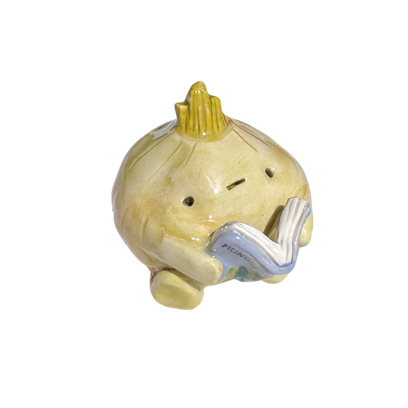 Onion with book