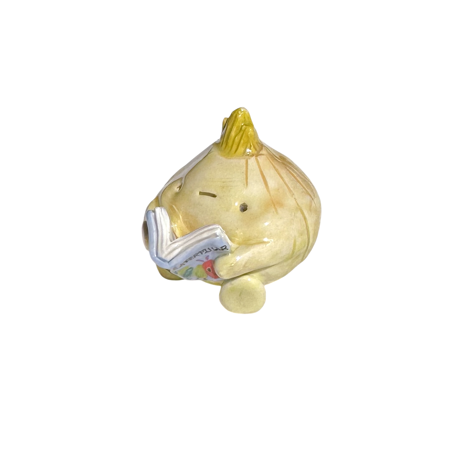 Onion with book