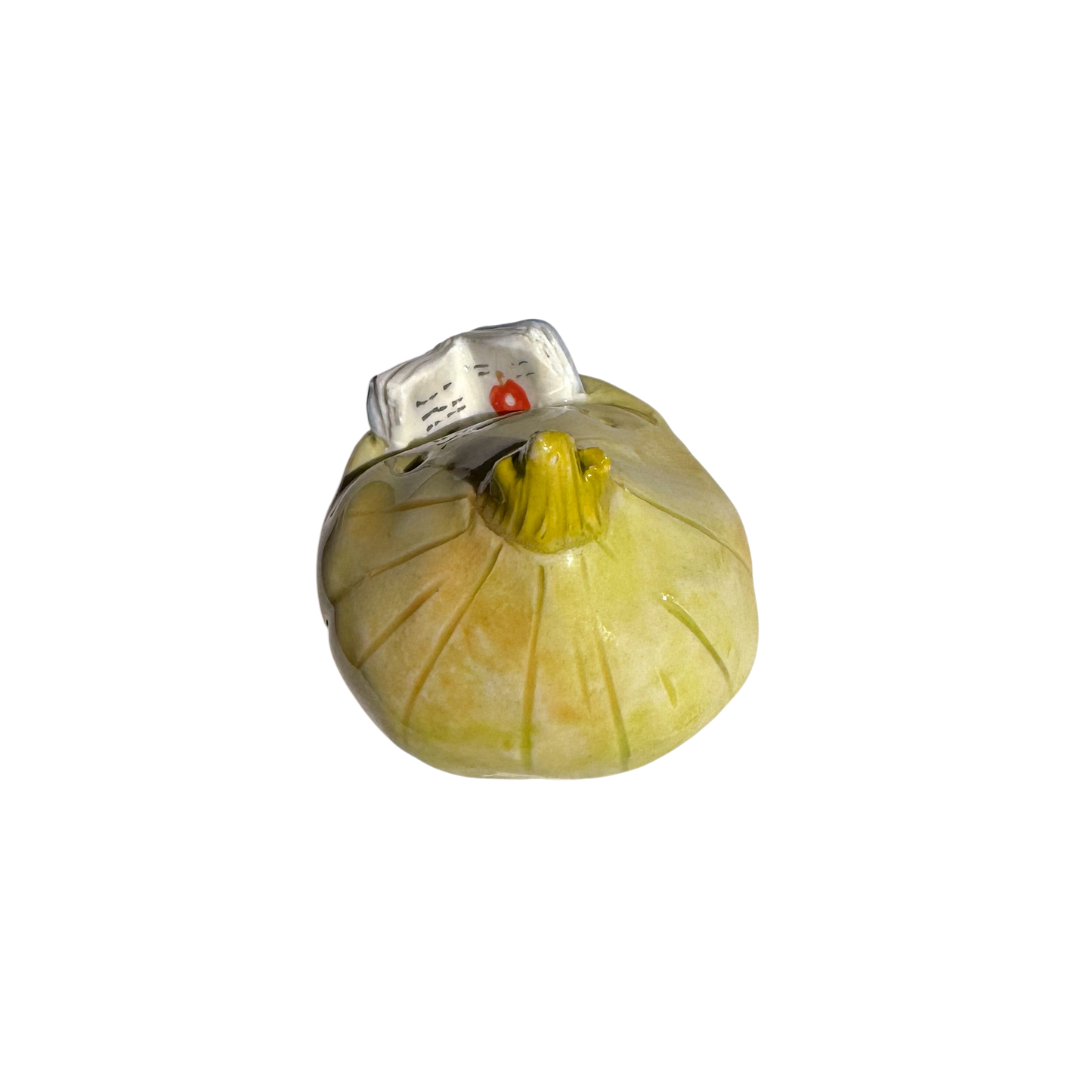 Onion with book
