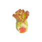 Lettuce with snail