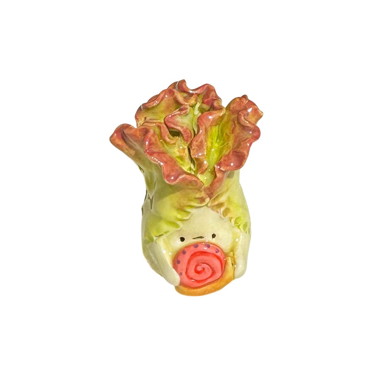 Lettuce with snail