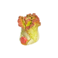Lettuce with snail