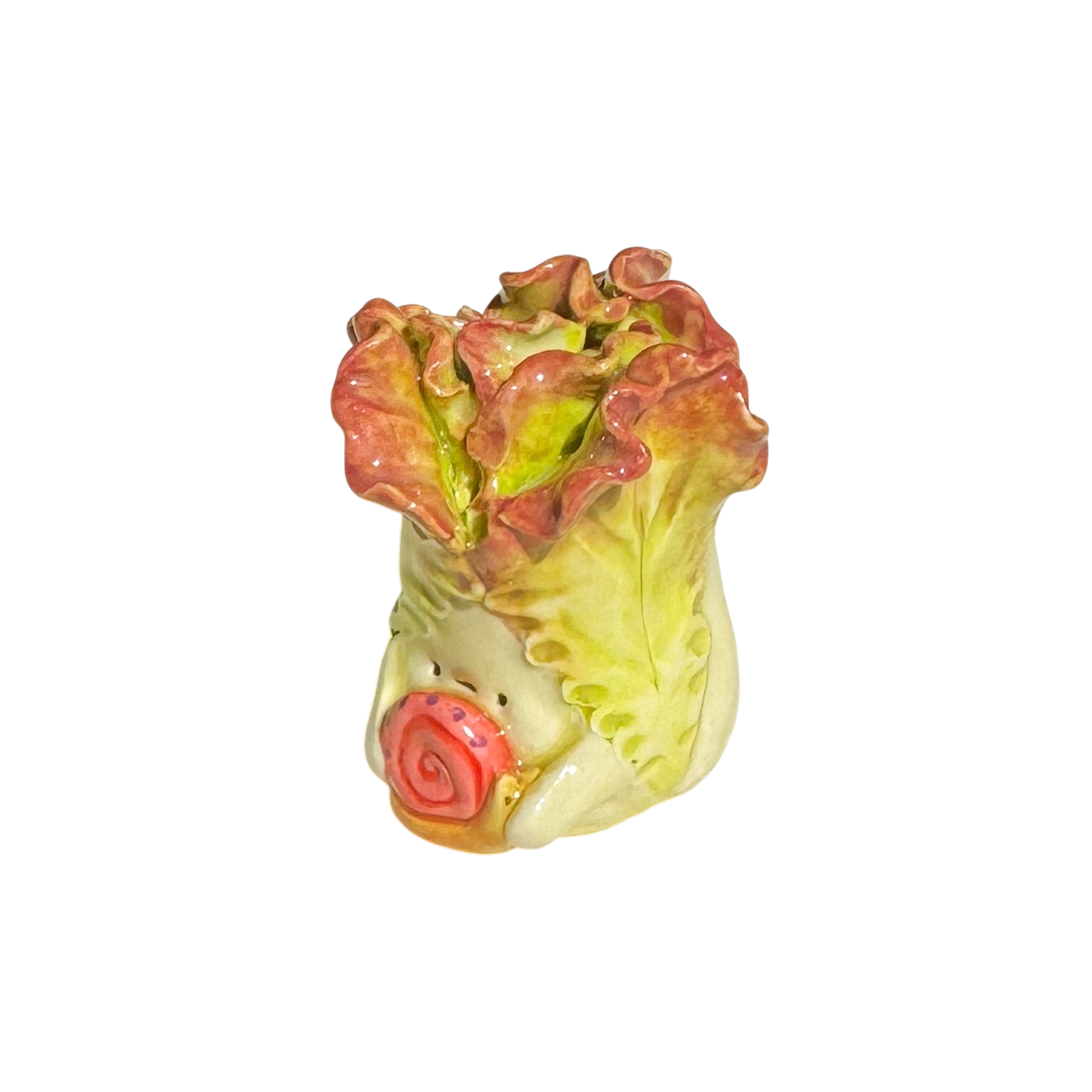 Lettuce with snail