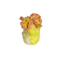 Lettuce with snail