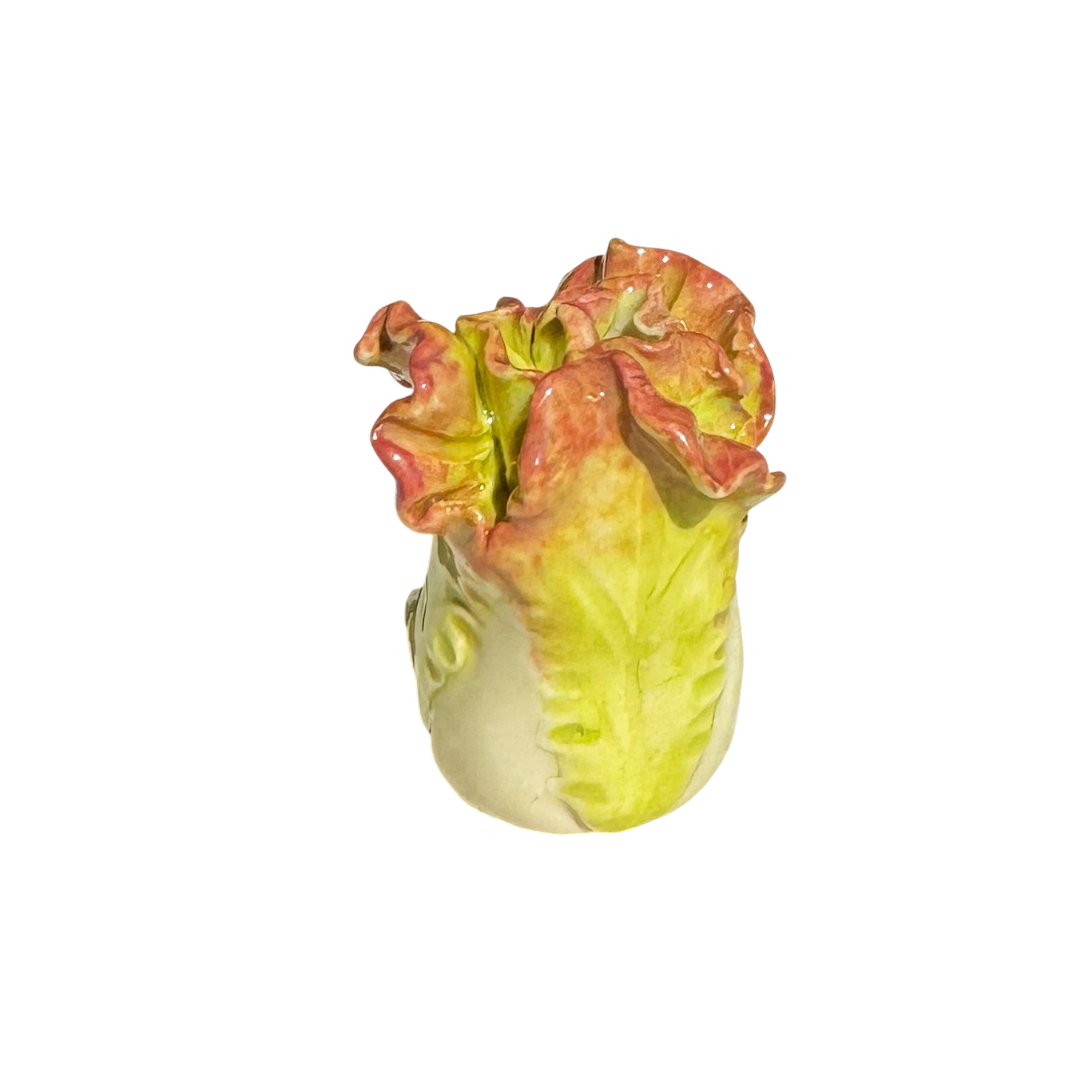 Lettuce with snail