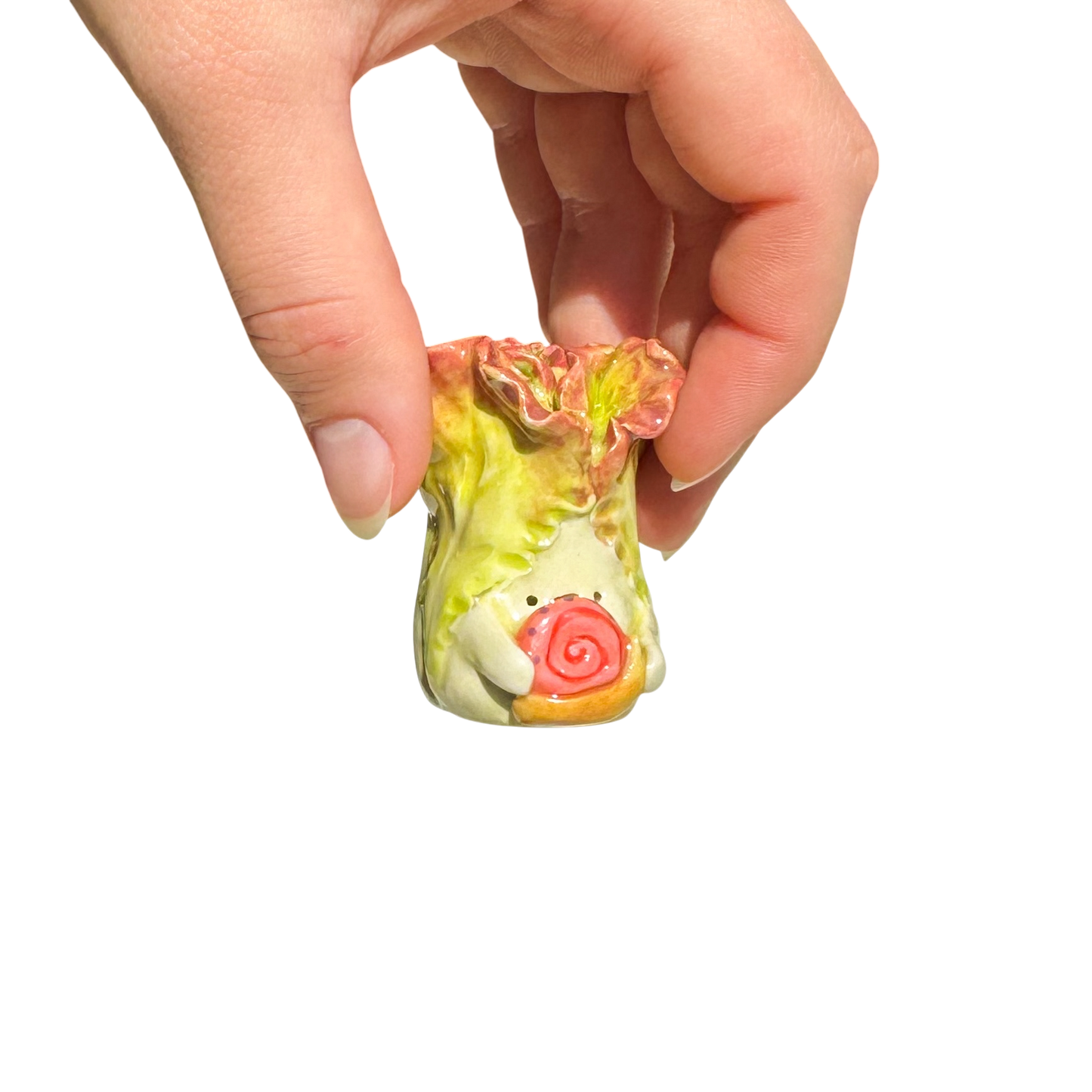 Lettuce with snail