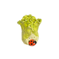 Lettuce with ladybug
