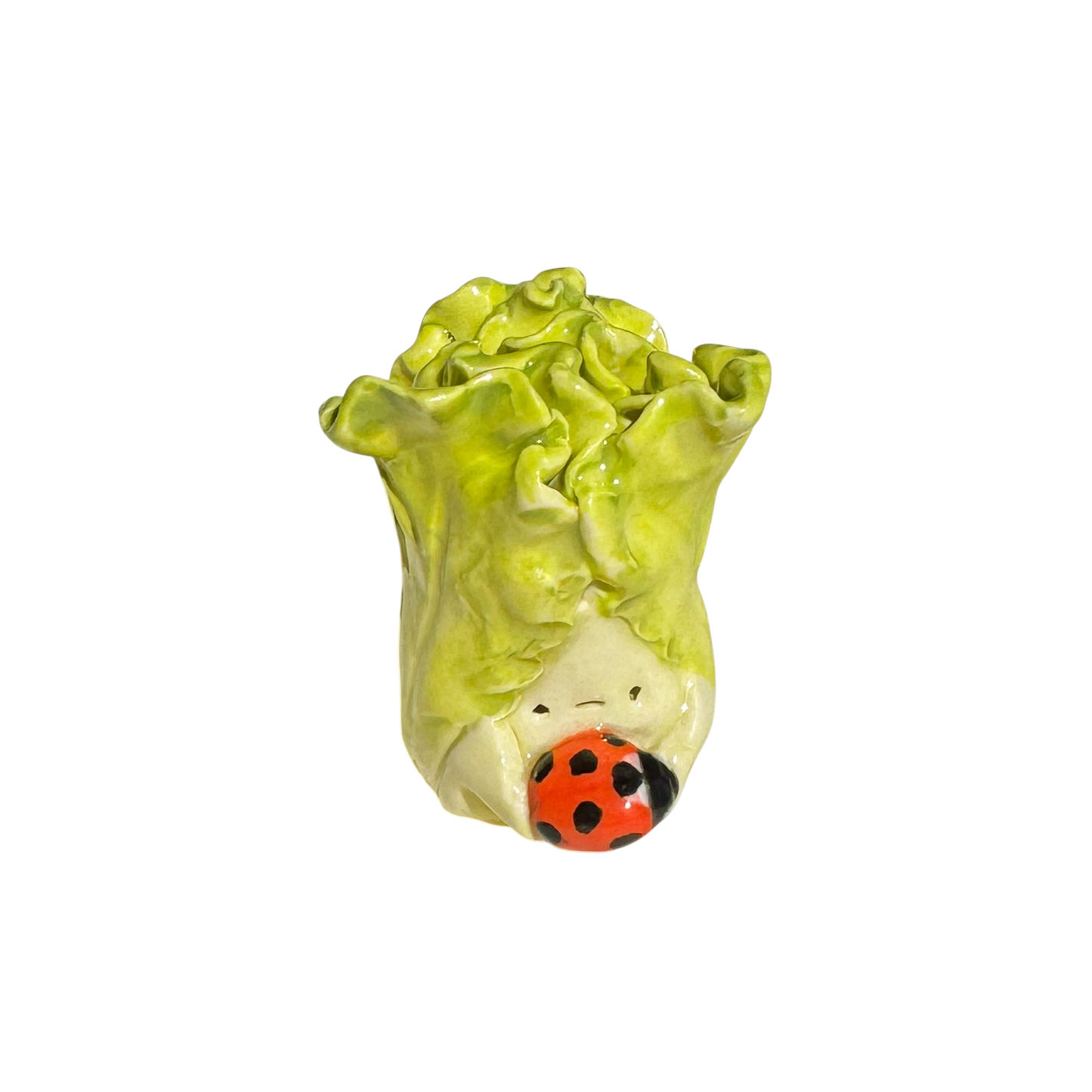 Lettuce with ladybug