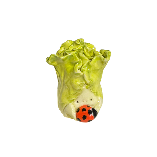 Lettuce with ladybug