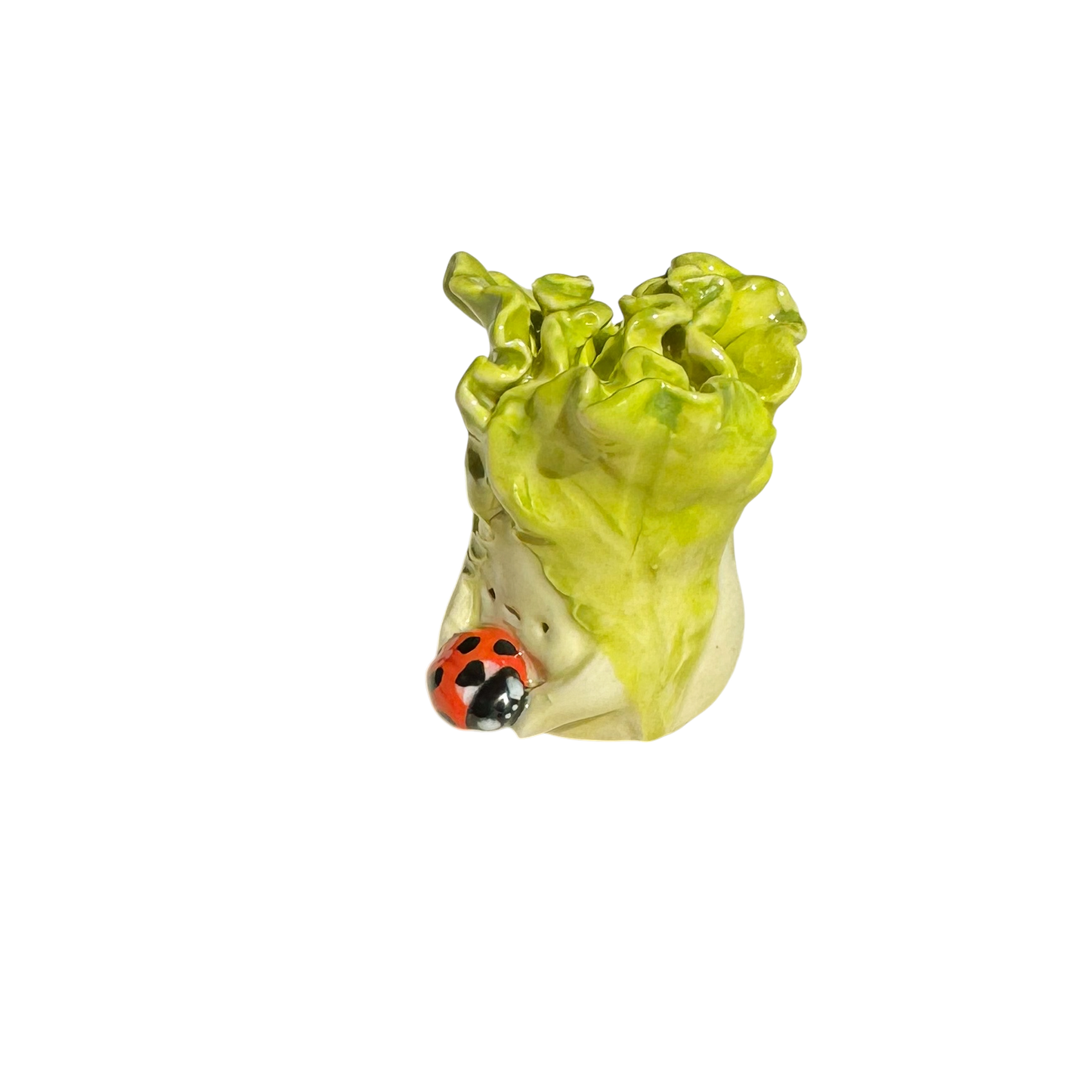 Lettuce with ladybug