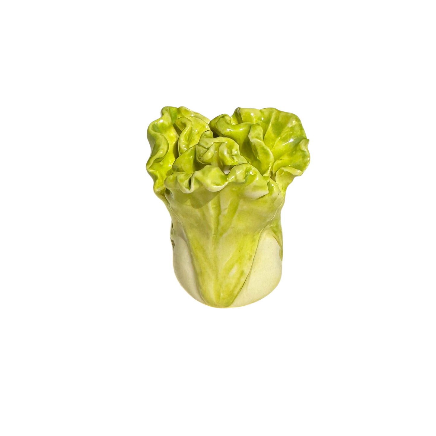 Lettuce with ladybug