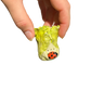 Lettuce with ladybug