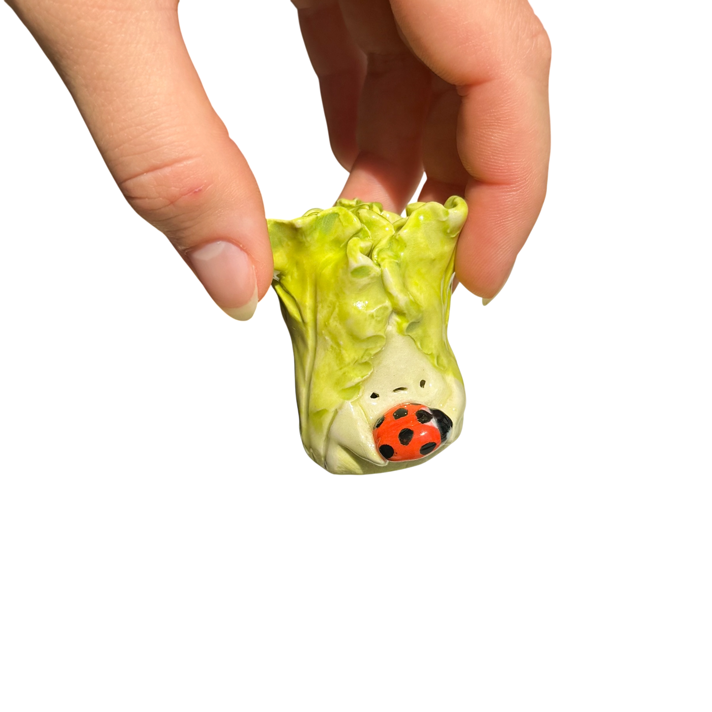 Lettuce with ladybug