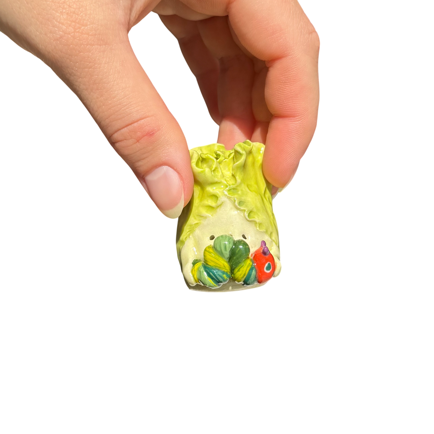 Lettuce with hungry caterpillar