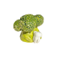 Broccoli with tooth