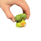 Broccoli with package