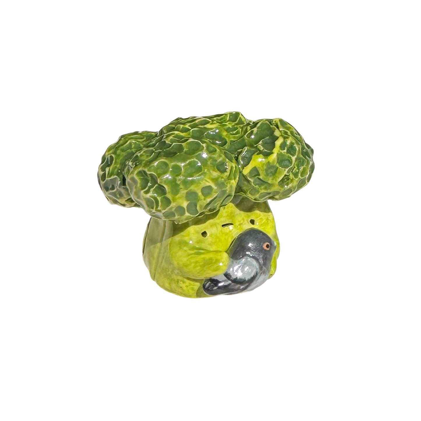 Broccoli with pigeon