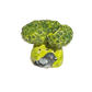 Broccoli with pigeon