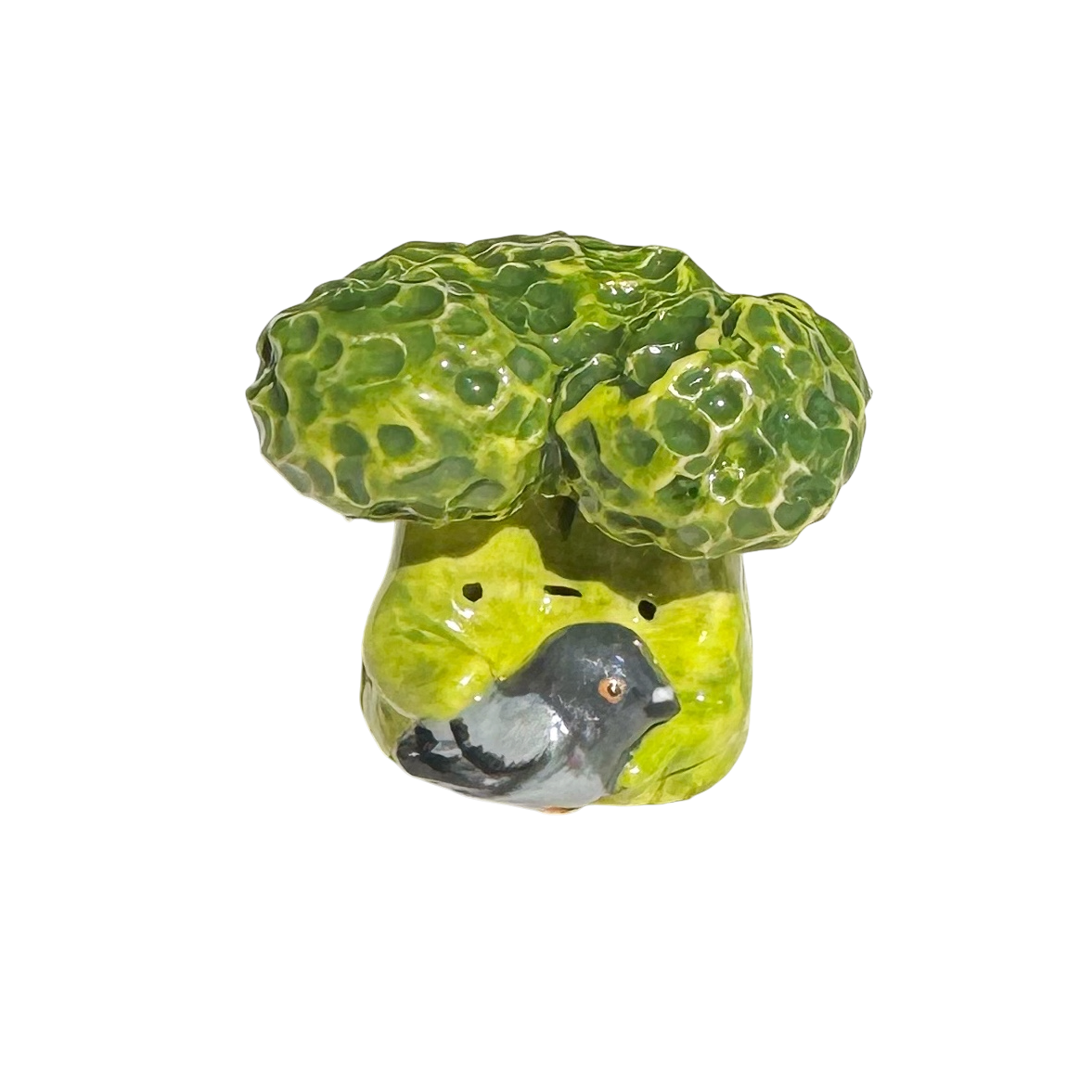 Broccoli with pigeon