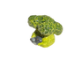Broccoli with pigeon