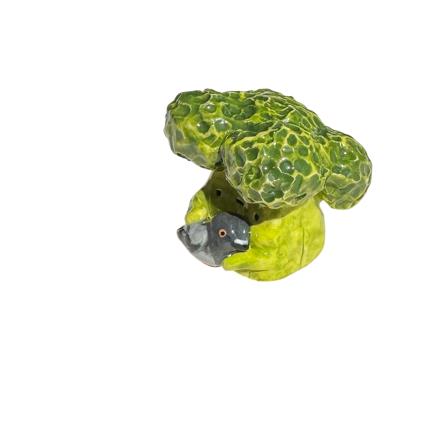 Broccoli with pigeon