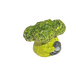 Broccoli with pigeon