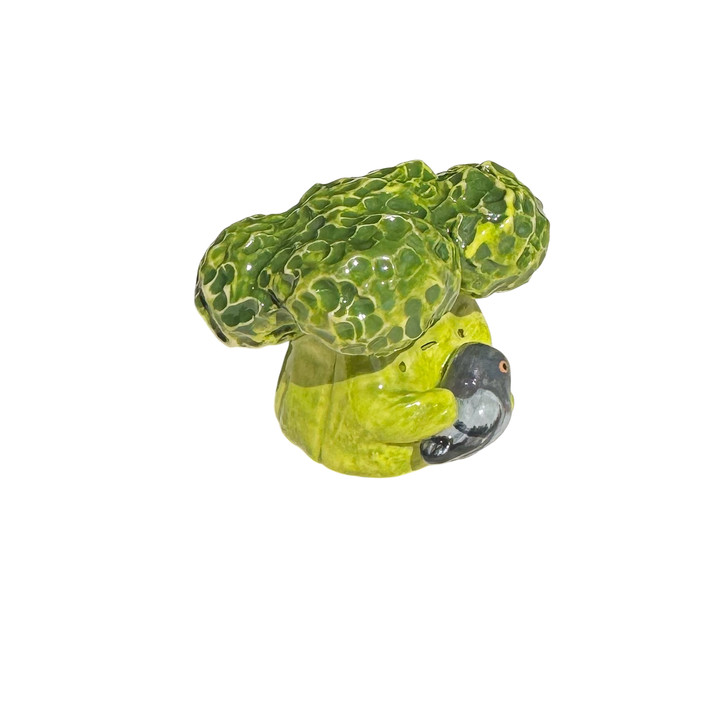 Broccoli with pigeon