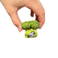 Broccoli with pigeon