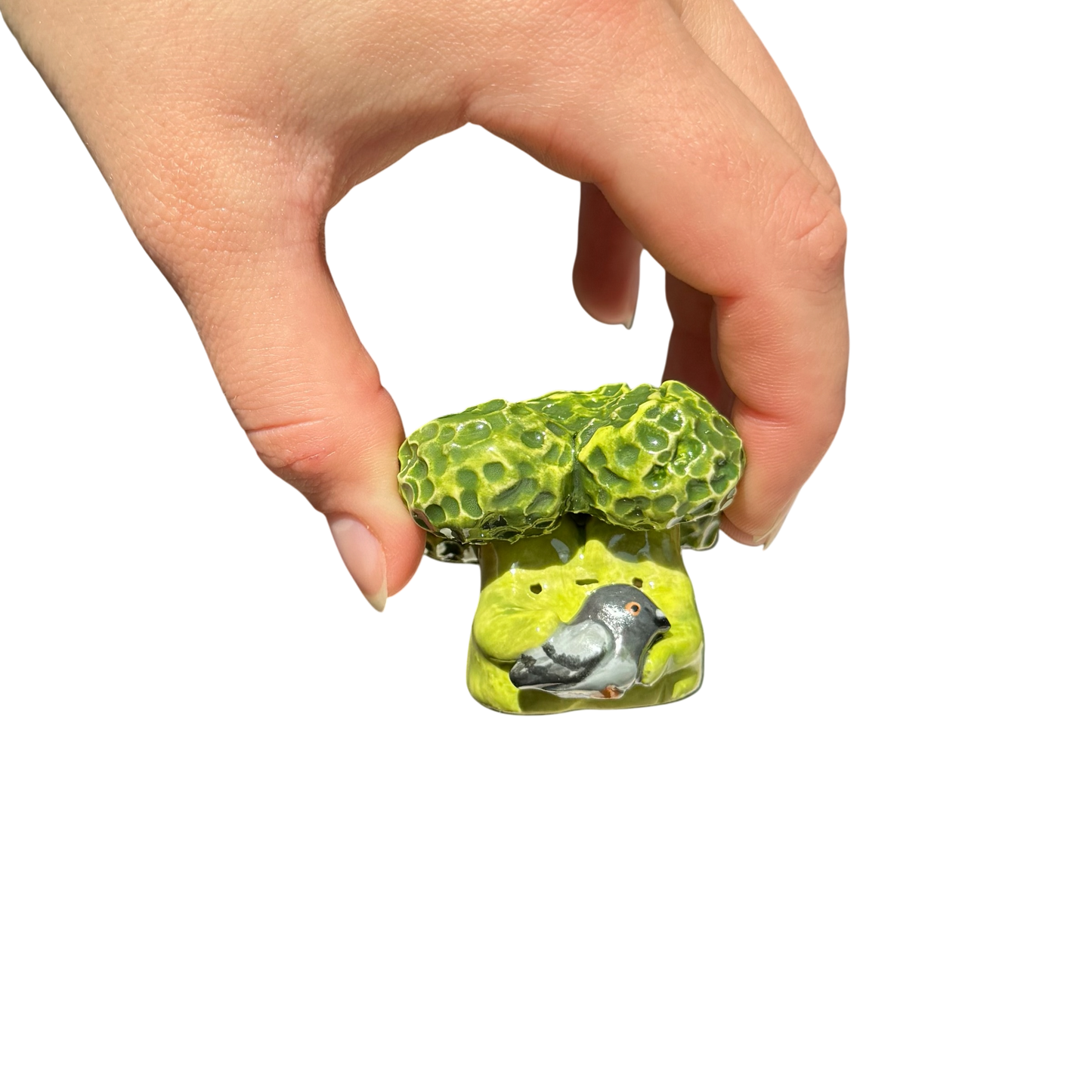 Broccoli with pigeon